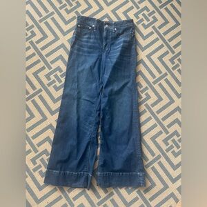 J. Crew Blue Denim Trousers 28P